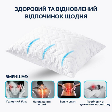 Фото Набір з двох пухових подушок Breeze з блискавкою