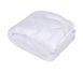 Фото №1 з 3 товару Ковдра зимова антиалергенна Iris Home Softness Біла svt-2000022303965