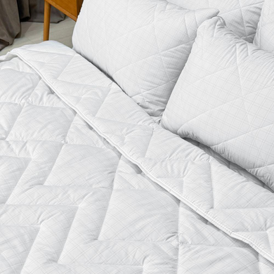 Фото Всесезонна пухова ковдра Antistatic Sleep з карбоновою ниткою