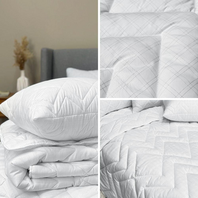 Фото Всесезонна пухова ковдра Antistatic Sleep з карбоновою ниткою