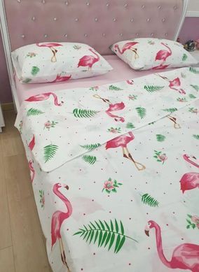 Фото Постельное белье Ранфорс 100% Хлопок Flamingo Pink White Фламинго