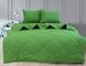 Фото №1 из 4 товара Комплект летний Elegant Одеяло + Простынь + Наволочки Cactus Зеленый