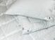 Фото №4 из 7 товара Демисезонное силиконовое одеяло Anti-Stress Руно с карбоновой нитью