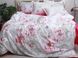 Фото №1 из 5 товара Комплект постельного белья ТМ TAG Сатин Premium Яблочный Цвет PT-009