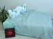Фото №1 из 4 товара Комплект постельного белья ТМ Tag Pike Braid с Вафельным Пике Мятный NP-06
