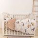 Фото №1 з 10 товару Комплект білизни в дитяче ліжечко Viluta Сатин Твіл №619 простирадло на резинці