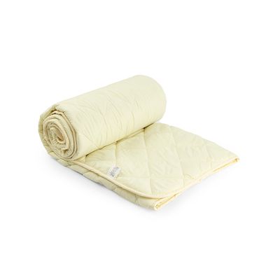 Фото Демисезонное силиконовое одеяло Легкость Руно Молочное