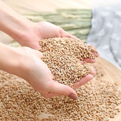 Фото Грілка-компрес Organic із зерном пшениці для шиї Ideia Блакитна