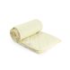 Фото №6 из 6 товара Демисезонное силиконовое одеяло Легкость Руно Молочное