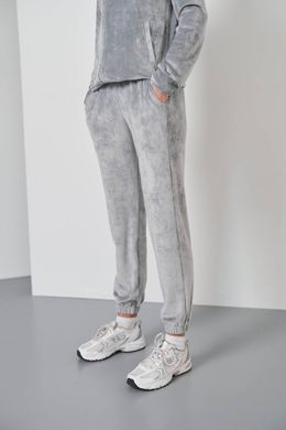 Фото Жіночий велюровий спортивний костюм на блискавці з каптуром Сріблястий 116/23 срібло