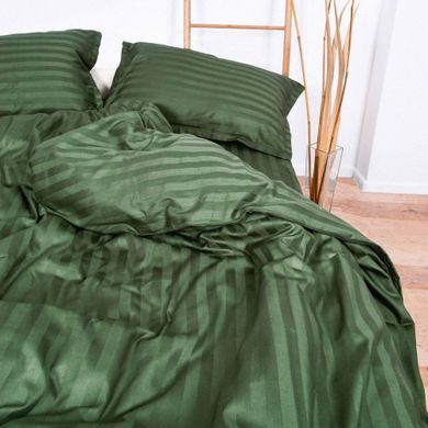 Фото Комплект постельного белья Viluta Tiare Сатин Страйп 81 Зеленый