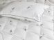 Фото №3 из 7 товара Набор Silver Swan - пуховое одеяло + 2 подушки Руно 200х220 + 50х70