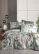 Фото №1 з 5 товару Постільна білизна La Romano Premium Satin Єгипетська бавовна Reneta Green m019568