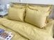 Фото №3 из 4 товара Постельное белье Golden Haze Turkish Cotton Ранфорс 100% Хлопок