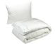 Фото №2 из 2 товара Комплект силиконовое одеяло + подушка Руно Белый