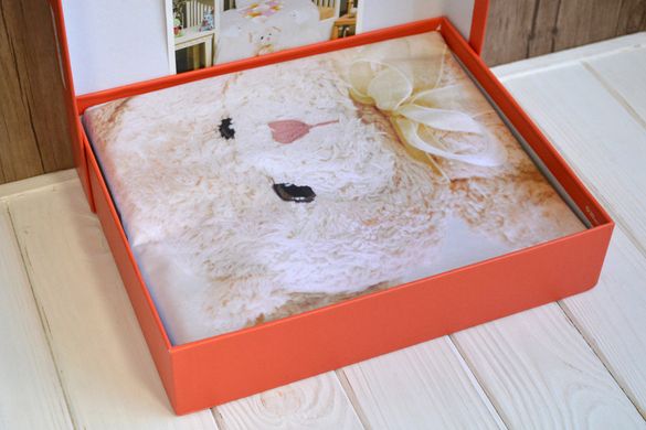 Фото Комплект белья в детскую кроватку Charlotte Baby Teddy Bear