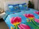 Фото №1 из 4 товара Комплект постельного белья Руно Тюльпаны микрофайбер
