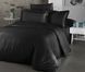 Фото №1 з 4 товару Комплект постільної білизни Cotton Shine Stripe Satin Чорний хм40037