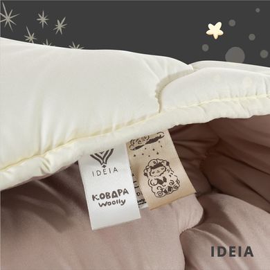 Фото Зимнее двухстороннее шерстяное одеяло Ideia Woolly