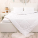 Фото №1 из 6 товара Теплое шерстяное одеяло Руно Мечты Wool Comfort Белое