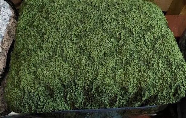 Фото Жаккардовый чехол для углового дивана Без Юбки Turkey Зеленый
