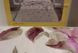 Фото №2 з 4 товару Комплект постільної білизни з піке TAC Ранфорс Galinda Pembe Рожевий