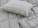Фото №3 из 8 товара Набор Grey - силиконовое одеяло + подушка Руно Серый