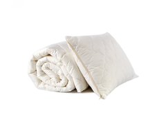 Фото Одеяло антиаллергенное + подушка Lotus Cotton Extra