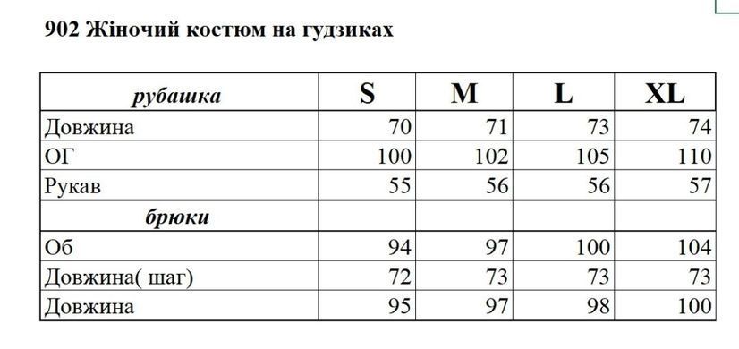 Фото Женский домашний костюм плюшевый Велюр Брюки + Кофта на пуговицах Голубой