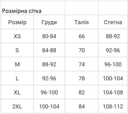 Фото Женский спортивный велюровый костюм V.Velika Коричневый