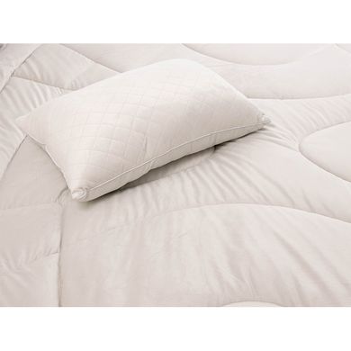 Фото Набор - Всесезонное велюровое одеяло Soft Pearl 200х220+ Две двухкамерные подушки Soft Pearl 50х70