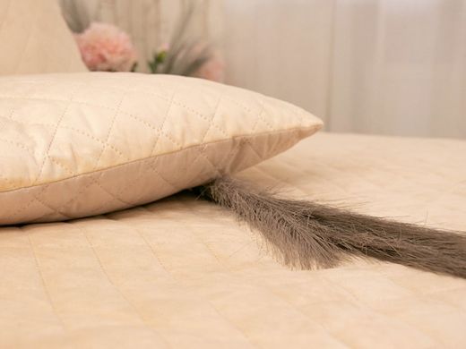 Фото Декоративна подушка Руно Velour Beige Ромб 40х40 311.55_Beige ромб