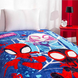 Фото №2 з 2 товару Плед-покривало TAC Disney Spiderman Team