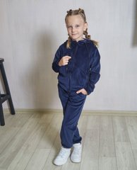 Фото Дитячий спортивный велюровый костюм на молнии с капюшоном Синий 300