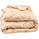 Фото №1 з 5 товару Зимова вовняна ковдра ТЕП Dream Collection Wool 1-02557_00000