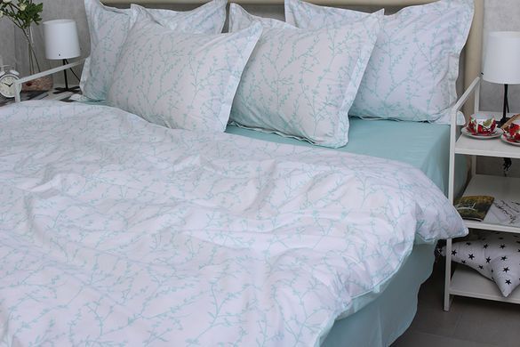 Фото Постельное белье Turkish Cotton 100% Хлопок Ella
