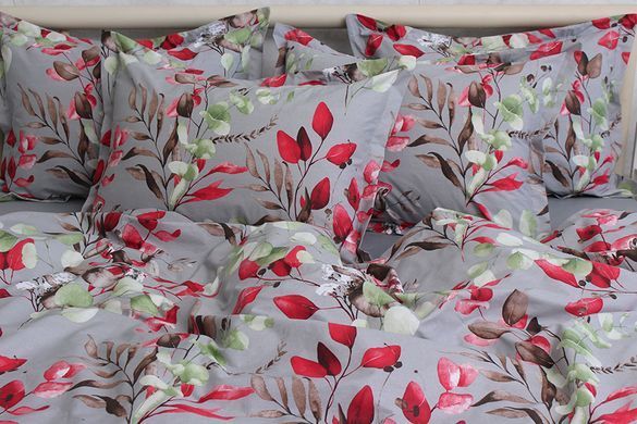 Фото Постельное белье Turkish Cotton 100% Хлопок Scarlett