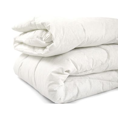 Фото Всесезонное силиконовое одеяло Руно Белый Вензель
