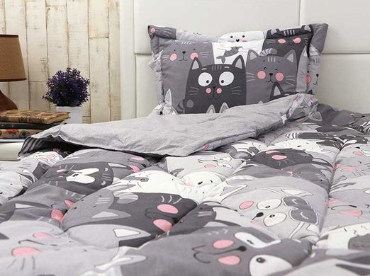 Фото Демисезонное силиконовое одеяло + подушка Руно Grey Cat Серое