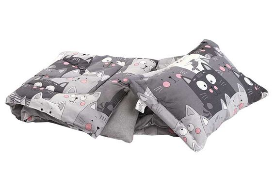 Фото Демисезонное силиконовое одеяло + подушка Руно Grey Cat Серое