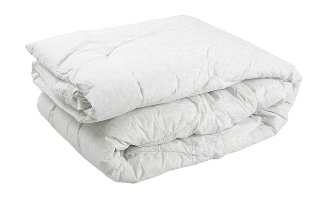 Фото Всесезонное силиконовое одеяло Руно Белый Вензель