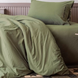 Фото №1 из 6 товара Комплект постельного белья Issimo Dreamers Poplin Khaki