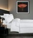 Фото №2 з 6 товару Постільна білизна La Romano Mona Premium Satin Montova White хм41594