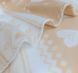 Фото №3 из 4 товара Новогодний плед Wellsoft флисовый Love Northern Tale