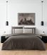 Фото №1 з 6 товару Постільна білизна La Romano Mona Premium Satin Alara Iron хм41587