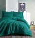 Фото №1 из 3 товара Комплект постельного белья Sateen Stripe Cotton Box Petro Зеленый