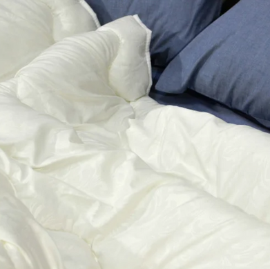 Фото Зимнее силиконовое одеяло стеганное Relax Viluta (сток)