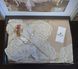 Фото №3 из 4 товара Скатерть прямоугольная велюровая с кружевом Selin Asya Бежевая