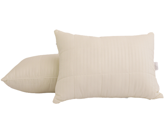 Фото Пухова подушка на блискавці Tag Stripe Лебяжий Пух у Мікрофібрі