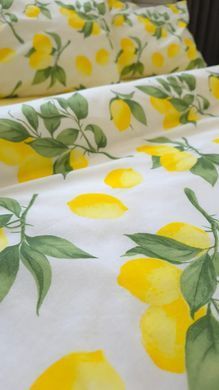 Фото Комплект постільної білизни  Poplin Lemon p-9730167